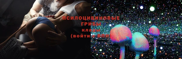 apvp Горно-Алтайск