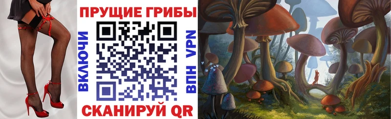 Галлюциногенные грибы Psilocybine cubensis  Рязань 